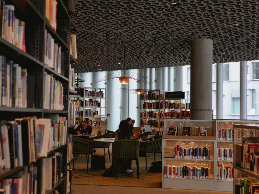 People Sitting in a Library