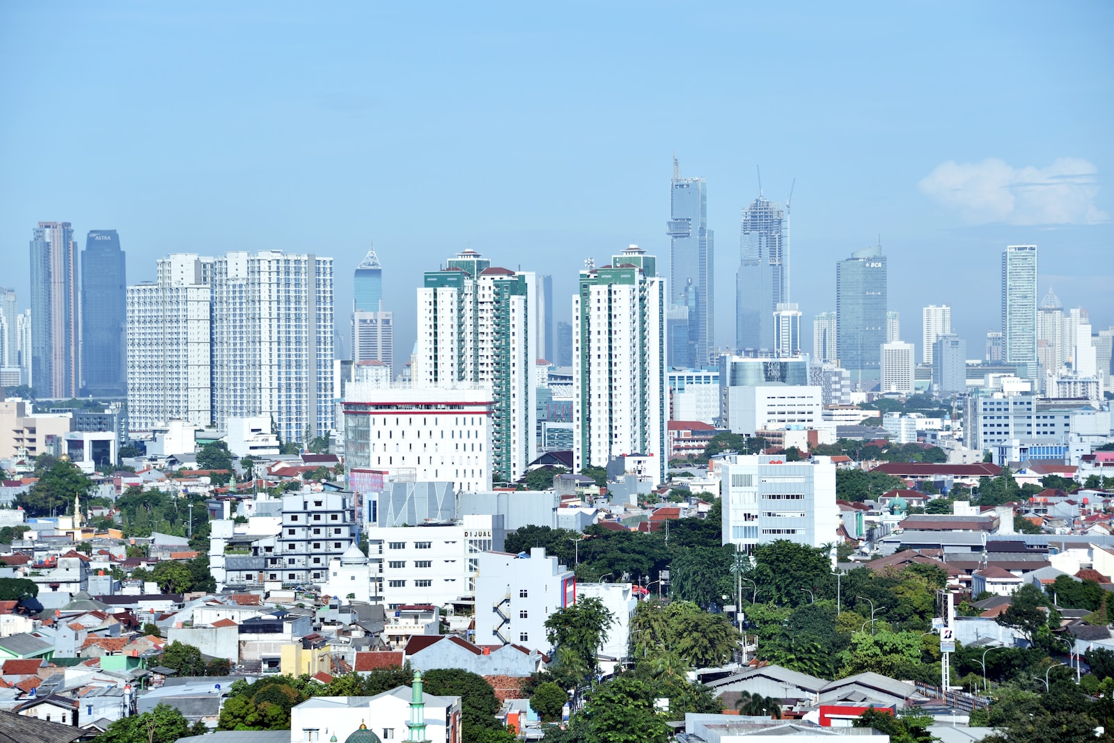 Prepared Scripts » Investor Monkey